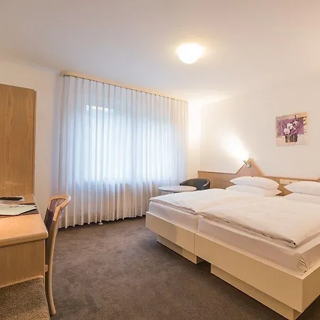 Am Wasen פרייברג אם נקאר